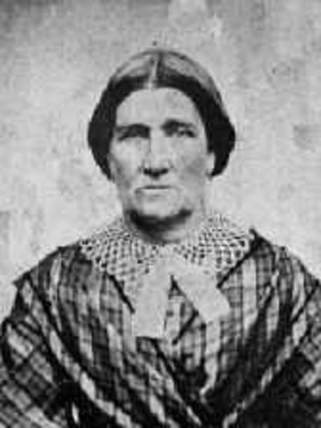 Betsy Orinda Thompson (1848 - 1900) Profile
